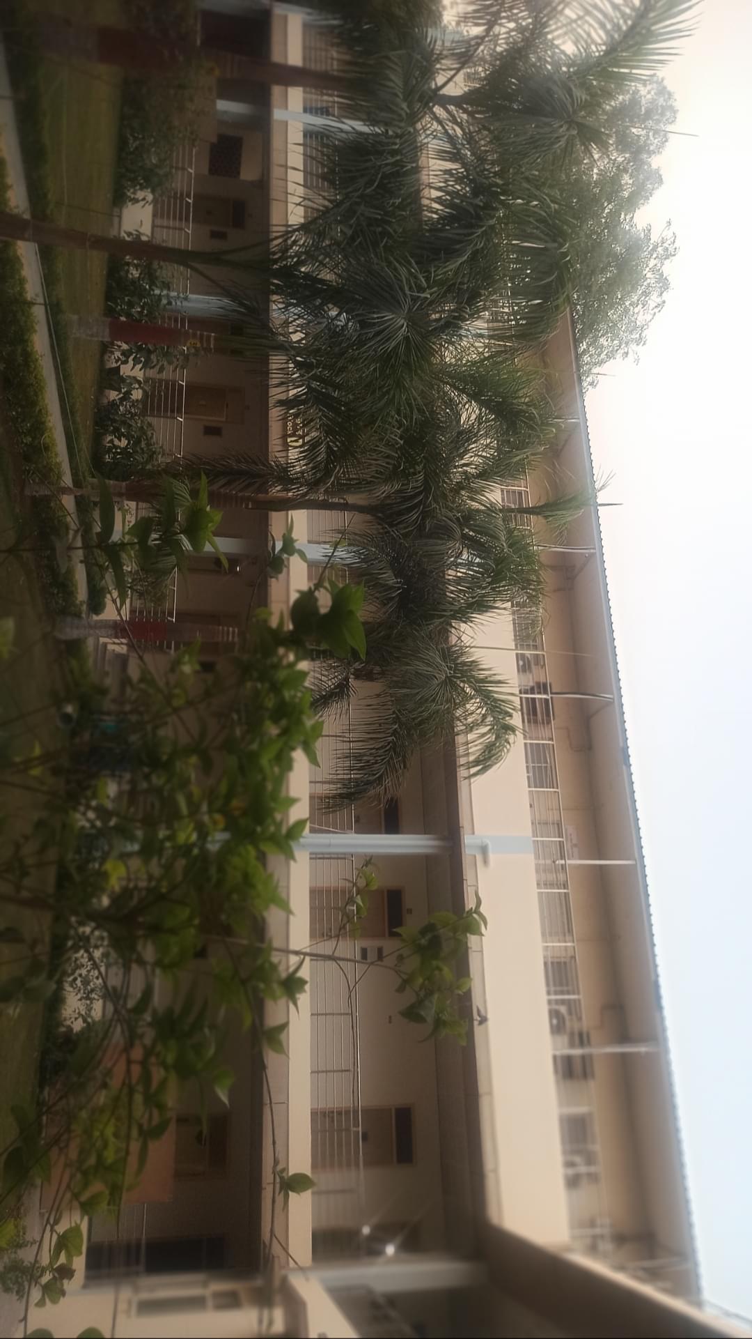 PGDAV Evening College Campus photo 5